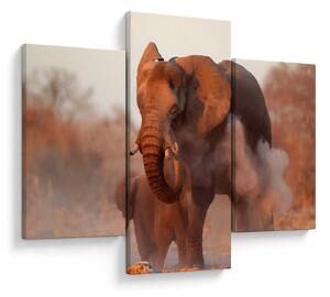 Tablou - Marele elefant african (90x60 cm)