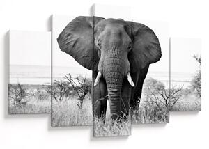 Tablou - Elefantul african II. (150x105 cm)
