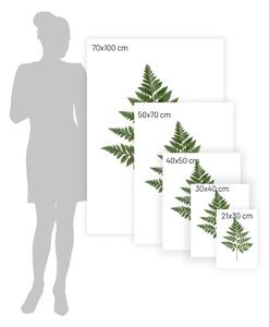 Afiș Fern Green