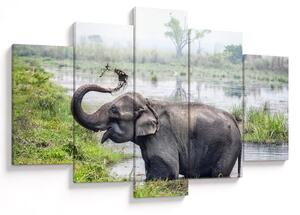 Tablou - Elefant de scăldat (150x105 cm)