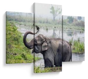 Tablou - Elefant de scăldat (90x60 cm)