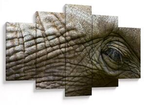 Tablou - Prim-planul ochiului de elefant vechi (150x105 cm)