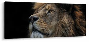 Tablou - Leul maiestuos (120x50 cm)