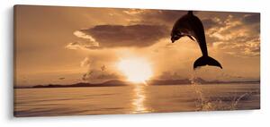 Tablou - Delfin la apus de soare (120x50 cm)