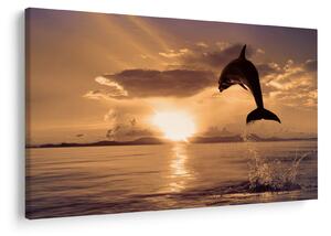 Tablou - Delfin la apus de soare (90x60 cm)