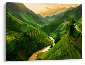 Tablou - Terase de orez Mu Cang Chai (70x50 cm)