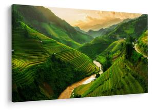 Tablou - Terase de orez Mu Cang Chai (90x60 cm)