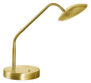 FISCHER & HONSEL Lampă de masă LED Tallri, alamă, înălțime 60 cm, CCT, dimmer tactil, reglabil, Auriu / Alamă, Camera de zi / sufragerie, Metal, Modern