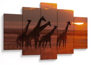 Tablou - Girafe în savana africană (150x105 cm)