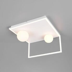 Trio Lighting Plafonieră LED Arola, alb mat, lățime 37 cm, metal, reglabil, Alb, Camera de zi / sufragerie, Metal, Modern