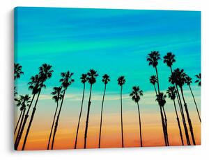 Tablou - California (70x50 cm)