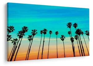 Tablou - California (90x60 cm)