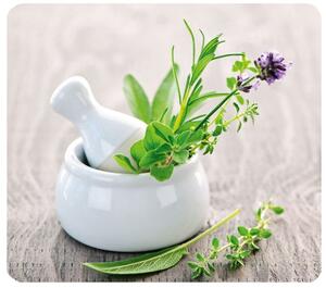 Placă de protecție din sticlă HERB GARDEN pentru aragaz – mare, WENKO