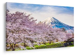 Tablou - Japonia în primăvară (90x60 cm)