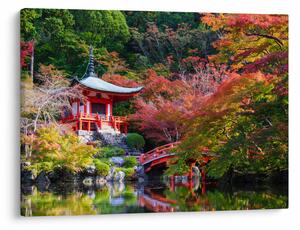 Tablou - Daigodji (70x50 cm)
