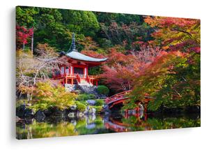 Tablou - Daigodji (90x60 cm)