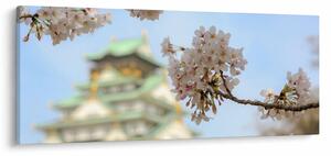 Tablou - Sakura (120x50 cm)