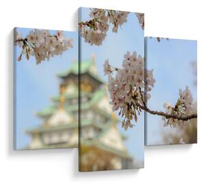 Tablou - Sakura (90x60 cm)