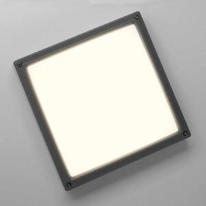 Akzentlicht SUN 11 - aplică LED 13W, antracit 3K, Negru, Hol, Metal, Modern, Plafon unghiular direct