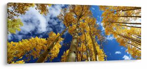 Tablou - Aspen (120x50 cm)