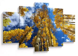 Tablou - Aspen (150x105 cm)
