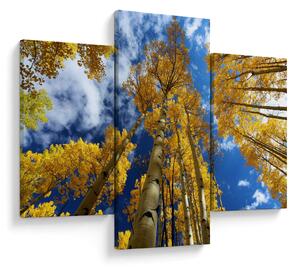 Tablou - Aspen (90x60 cm)