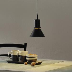 Anglepoise Lampă suspendată Type 80, negru mat, Negru, Camera de zi / sufragerie, Metal, Design
