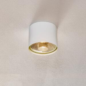 ALDEX Spot de tavan Bot, alb, 1 bec, reglabil, Alb, Camera de zi / sufragerie, Metal