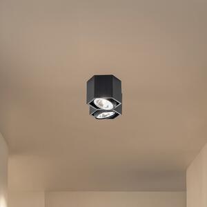 Euluna Plafonieră Elvas pivotantă cu 2 becuri negru, reglabil, Negru, Camera de zi / sufragerie, Metal, Modern, Plafon cu flacără multiplă