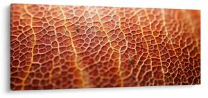 Tablou - Detaliu de textură (120x50 cm)