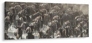 Tablou - Turmă de antilope sălbatice (120x50 cm)