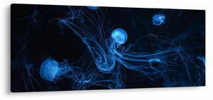 Tablou - Meduză (120x50 cm)