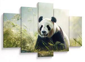 Tablou - Panda (150x105 cm)