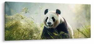 Tablou - Panda (120x50 cm)