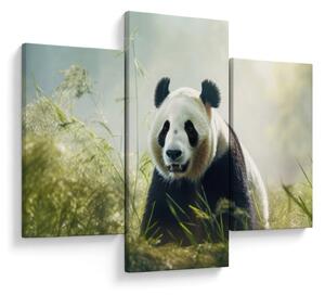Tablou - Panda (90x60 cm)