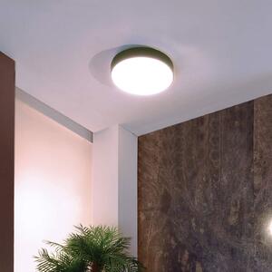 Deko-Light Menkar plafonieră LED, argintiu, reglabil, Metalic, Camera de zi / sufragerie, Metal, Modern