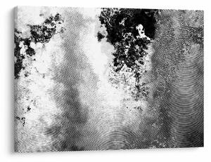Tablou - Eclozare (70x50 cm)