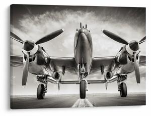 Tablou - Warbird (70x50 cm)