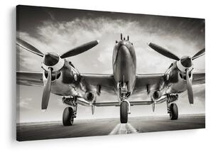 Tablou - Warbird (90x60 cm)
