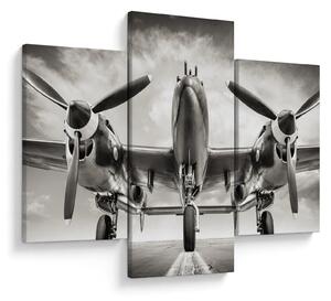 Tablou - Warbird (90x60 cm)