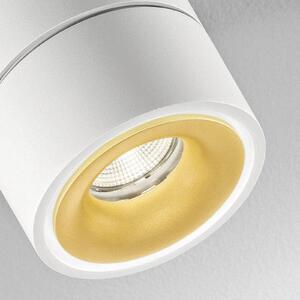 Egger Licht EGG DLS Spot LED Clippo Duo, alb-auriu, 3.000K, reglabil, Alb, Studiu / Birou, Metal, Modern