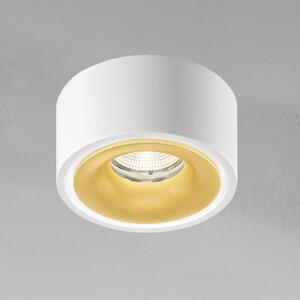 Egger Licht EGG DLS LED spot Clippo EP, alb-auriu, 2,700K, reglabil, Alb, Studiu / Birou, Metal, Modern