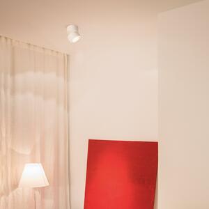 Egger Licht EGG DLS LED spot de plafon Clippo, dimabil, alb / auriu, reglabil, Alb, Studiu / Birou, Metal, Modern