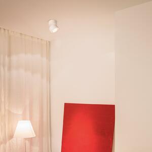 Egger Licht EGG DLS LED track spot Clippo, dimabil, alb, reglabil, Alb, Studiu / Birou, Metal, Modern
