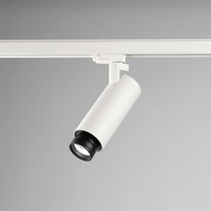 Egger Licht EGG DLS track spot Kelly, 15 - 90°, 3.000K, alb, reglabil, Alb, Studiu / Birou, Metal, Modern