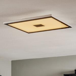 Evotec Zen plafonieră LED pătrată, Color Control, reglabil, Gri, Camera de zi / sufragerie, Metal, Modern, Perete unghiular