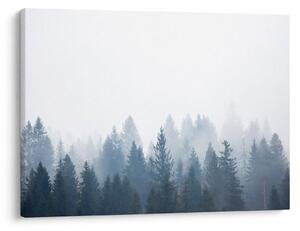 Tablou - Pădure cețoasă (70x50 cm)
