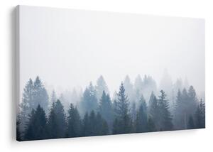 Tablou - Pădure cețoasă (90x60 cm)