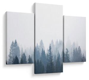 Tablou - Pădure cețoasă (90x60 cm)