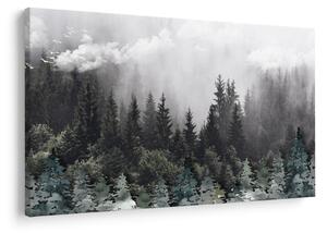 Tablou - Pădure cu elemente ilustrate (90x60 cm)